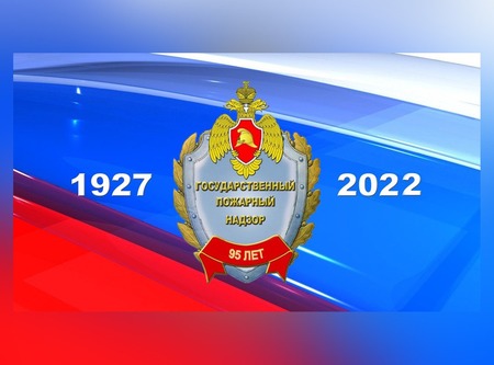 Государственный пожарный надзор МЧС России